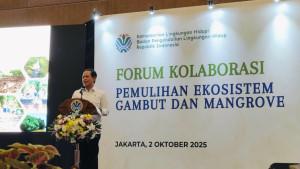 gambut-dkjf.jpg