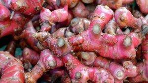gangguan-lambung-pakai-jahe-merah.jpg