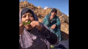 gaza-kelaparan-warga-gaza-makan-rumput.jpg