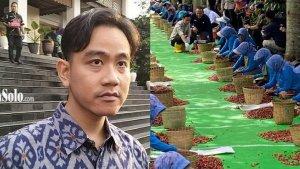 gibran-kunjungi-kebun-kopi-bondowoso-24-juni-2025.jpg
