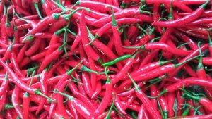 harga-cabai-merah-harga-komoditas-pangan.jpg