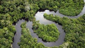 hutan-amazon-76tgnj.jpg