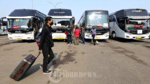 ilustrasi-bus-pariwisata.jpg