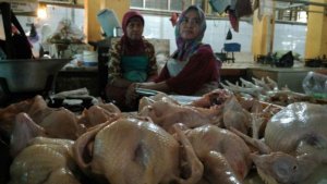 ilustrasi-daging-ayam-potong_20161221_115049.jpg