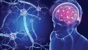 ilustrasi-multiple-sclerosis-ms-atau-sklerosis-ganda.jpg
