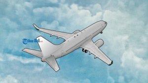 ilustrasi-pesawat-jatuh-737.jpg