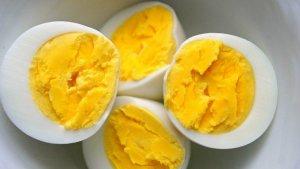ilustrasi-telur-telur-rebus.jpg