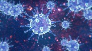 ilustrasi-virus-arcturus___.jpg