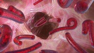 ilustrasi-virus-ebola.jpg