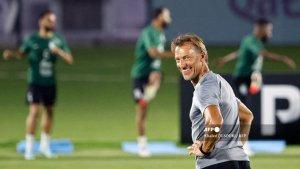 inilah-profil-herve-renard-pelatih-timnas-arab-saudi.jpg