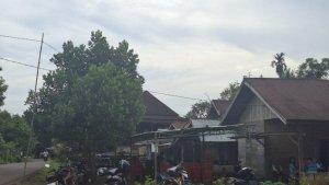 isaktangis1111.jpg