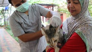jakarta-selatan-siapkan-100-dosis-vaksin-rabies-gratis_20231012_233750.jpg