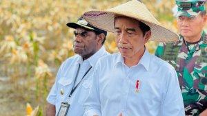 jokowi-meninjau-ladang-jagung-yang-ada-di-kawasan-food-estate.jpg