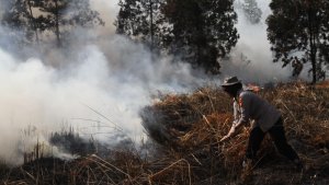 kebakaran-hutan-dan-lahan-kembali-terjadi-di-pekanbaru_20200227_173157.jpg