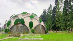 kebun-raya-bogor1.jpg