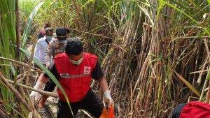 kerangka-manusia-berserakan-di-Bantul.jpg