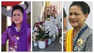 kolase-iriana-dan-bunga-anggrek.jpg