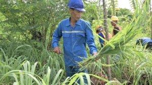 lahan-bekasss-tambang.jpg