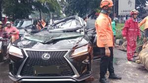 lexus-tertimpa-pohon.jpg