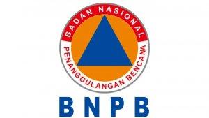 logo-bnpb.jpg