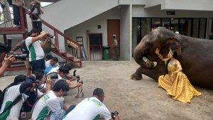 lomba-foto-dan-video_tsi.jpg