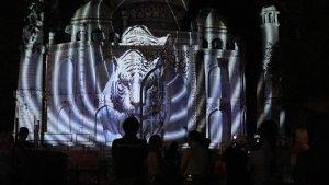 luminous-safari-journey1222.jpg