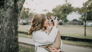 lustrasi-anjing-yang-diambil-dari-Pexels-pada-6-Mei-2025.jpg