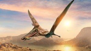 lustrasi-pterosaurus-spesies-reptil-terbang-dari-zaman-dinosaurus-potongan.jpg