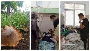 makan-malam-pakai-jamur-liar-satu-keluarga-di-garut-keracunan.jpg