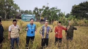 manfaatkan-pupuk-organik-berbahan-dasar-fly-ash-bottom-ash-faba.jpg