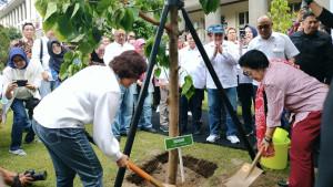 megawati-tanam-pohon-1.jpg