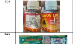 obat-tawon-ditarik.jpg