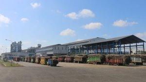 pabrik-gula-pt-industri-gula-glenmore.jpg