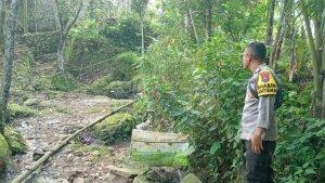 pasutri-di-Jember-diserang-babi-hutan.jpg