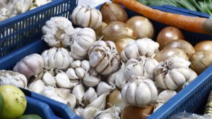 pedagang-bawang-putih-di-pasar-kebayoran-lama_20230717_225656.jpg