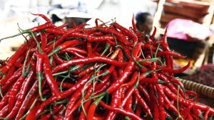 pedagang-cabai-di-pasar-kebayoran-lama_20220713_103606.jpg