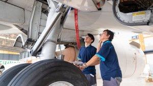 peluang-tenaga-kerja-indonesia-berkarir-ke-pasar-global-cukup-besar.jpg