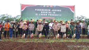 penanaman-jagung-banyuwangi-1211.jpg