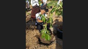 penanaman-pohon-di-taman-botani-di-The-Sanur-atau-KEK-Sanur-Bali.jpg