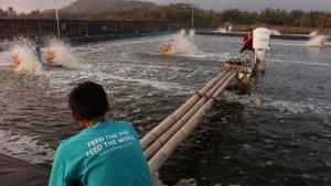 pendanaan-efishery.jpg