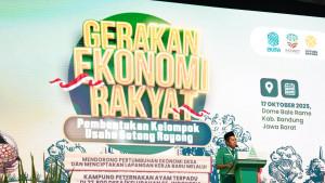 peternakan-ayam-skjd.jpg