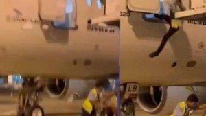 petugas-bandara-jatuh-bpjs-ketenagakerjaan-tanggung-seluruh-biaya.jpg