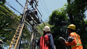 petugas-pln-malang-lakukan-perawatan-jaringan-listrik_20220917_202114.jpg