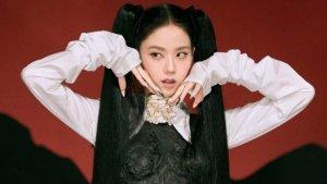 pihak-agensi-yg-entertainment-menyatakan-jisoo-blackpink-baru-saja.jpg
