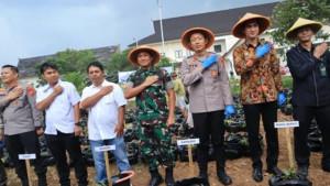 polres-sumedang-tanam-ubi-cilembu.jpg