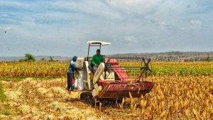produktivitas-tenaga-kerja-dan-pdb-sektor-pertanian-meningkat.jpg
