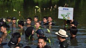 rehabilitasi-mangrove-oleh-epson.jpg