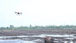 sawah-food-estate-676.jpg