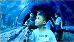 seorang-siswa-sekolah-bingkai-jalanan-berkesempatan.jpg