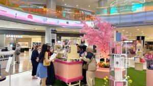 spring-pop-sale-korea-360.jpg